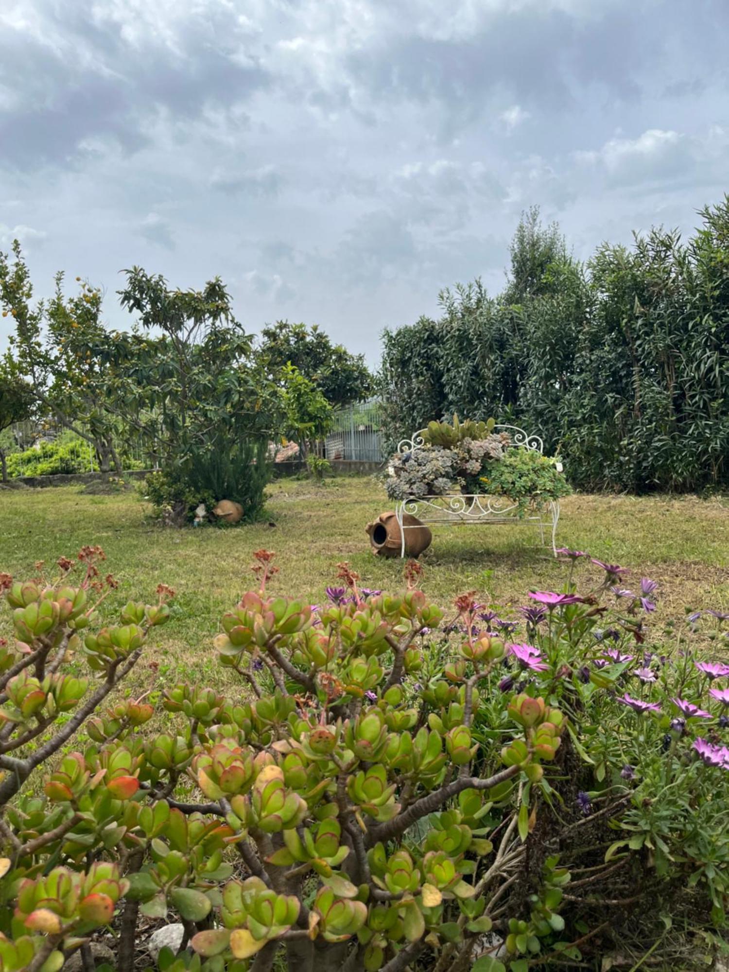 Villa Giardino Degli Oleandri Palinuro Exterior photo
